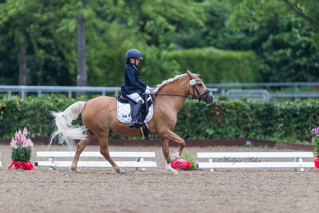 Bild 46 - Pony Akademie Turnier